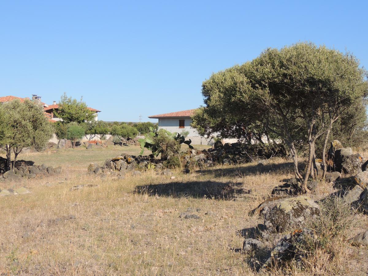 Bed and Breakfast Il Nuraghe Uras Екстер'єр фото